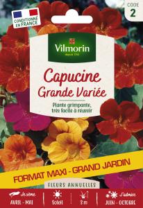 Capucine Grande Variée - Grand Modèle
